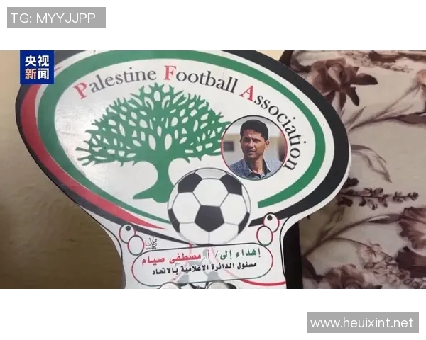 巴勒斯坦足球明星身价揭秘及其对国家足球发展的影响分析