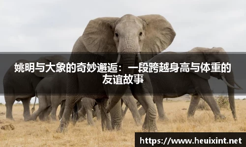 姚明与大象的奇妙邂逅：一段跨越身高与体重的友谊故事
