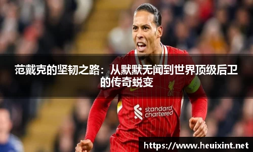 星空综合官网